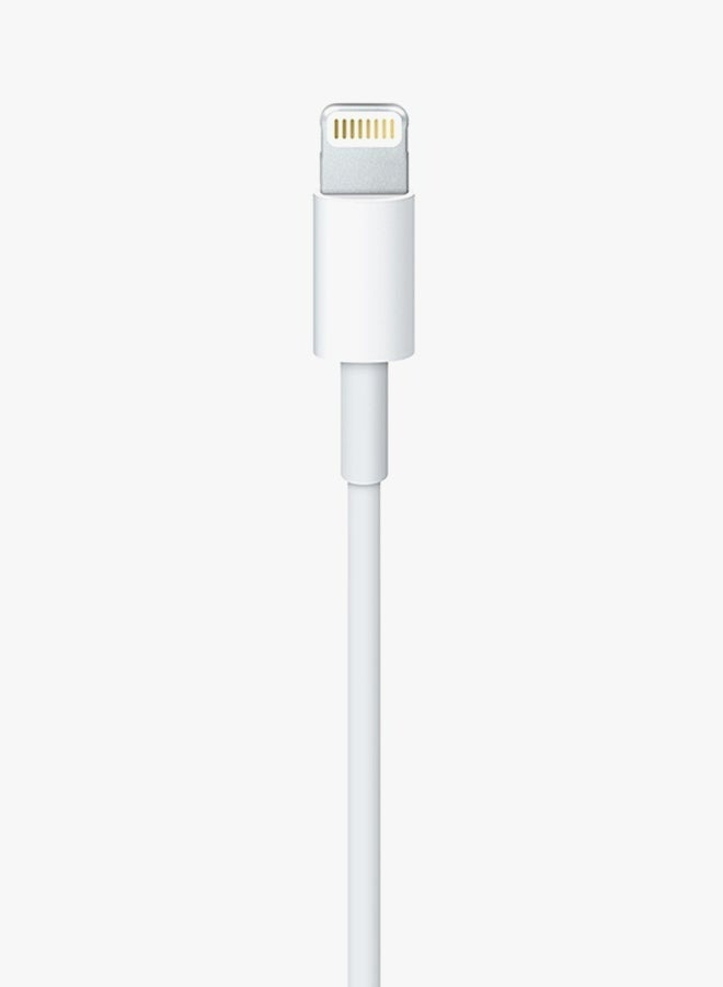Apluynm USB-C To Lightning Cable - 2 Meter White - Image 3