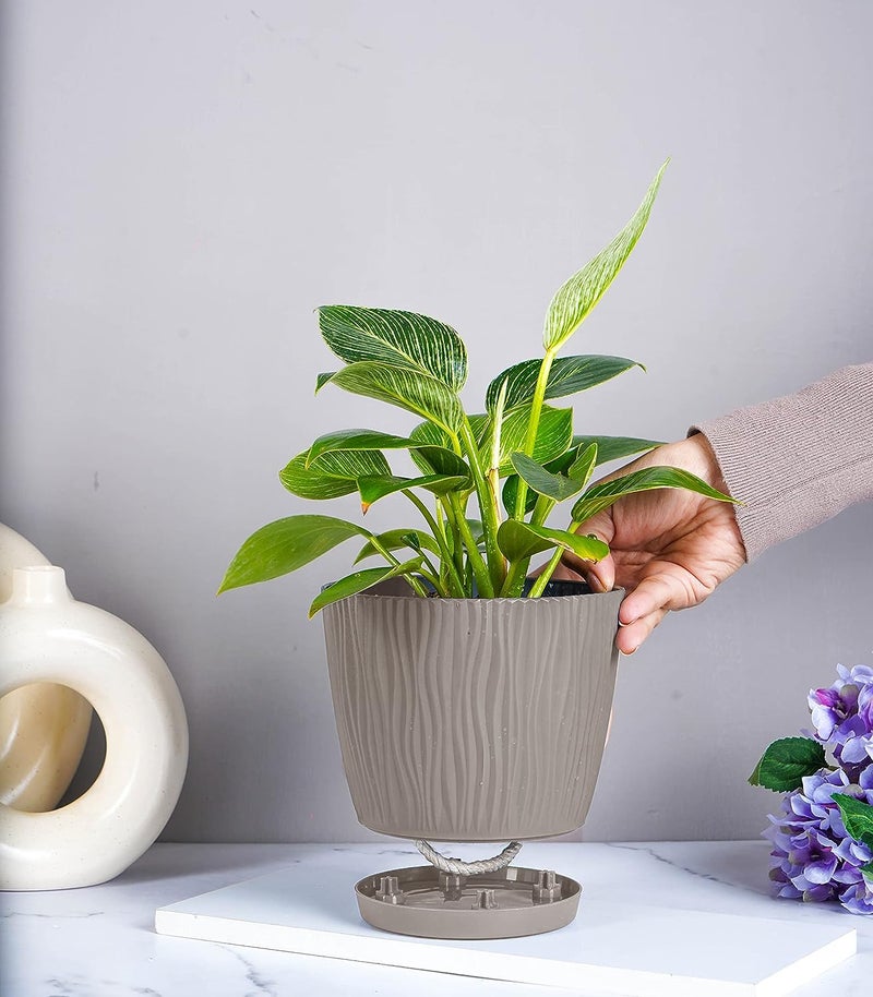 Nurturing Green® Combo of 8 Self Watering Flower Pots for Living Room & Home Decor | Plastic Plant Pots for Indoor, Balcony & Garden (Color: Mocha, Size: 14cm x 12.5cm Each) - Image 5