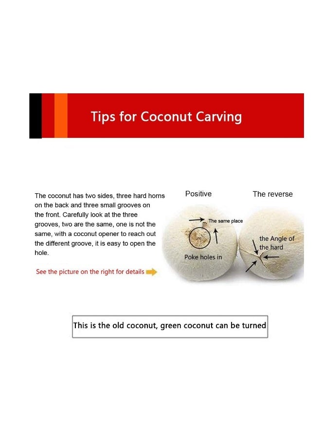 2 Pack Coconut Opener Tool with 4 Reusable Straws and Brush, Easy & Convenient Straw Hole Maker, Food Grade Stainless Steel Opening Pouch Tap for Young Fresh Thai Hawaii Coco Water Juice - Image 4