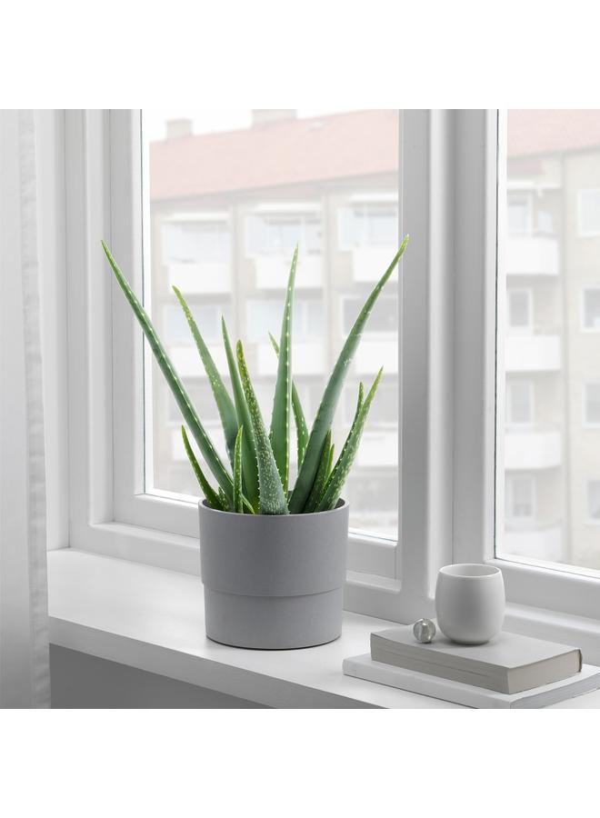 erorex Plant pot, in/outdoor grey, 15 cm - Image 3