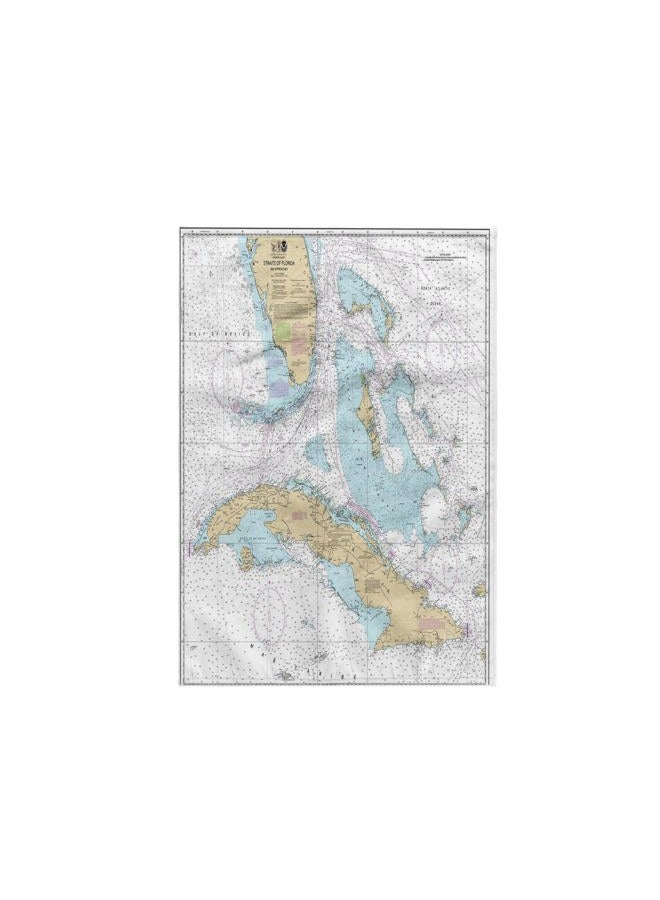 3DROSE 3D Rose Print of Cuba and Straights of Florida Chart TWL_204867_1 Towel, 15" x 22" - Image 1
