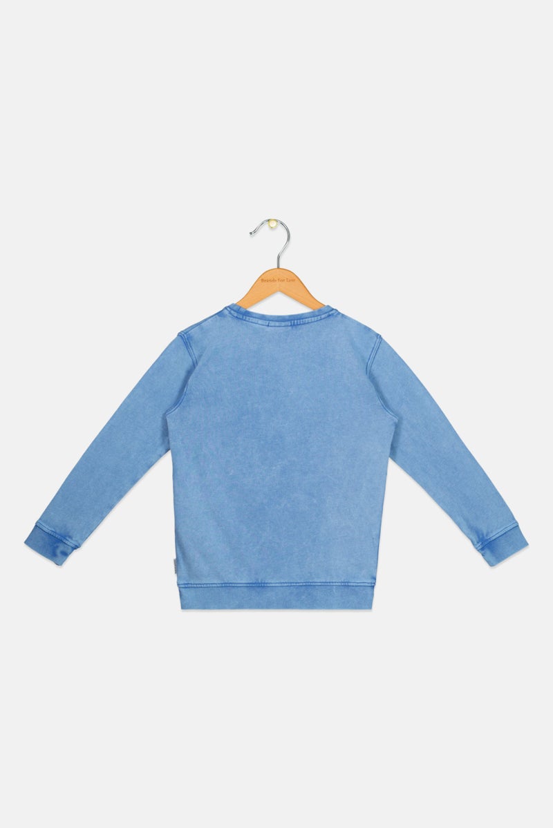 Franklin Marshall Kids Boy Sportswear Fit Long Sleeve Outdoor Sweatshirt, Light Blue - Image 2