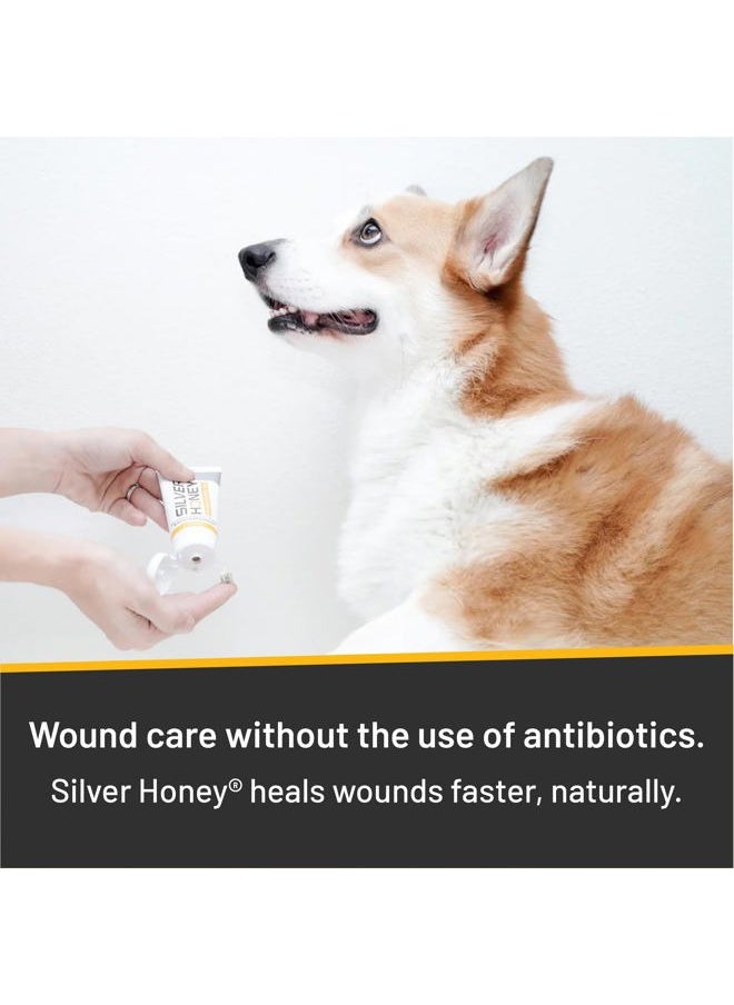 Absorbine - Silver Honey Hot Spot & Wound Care Ointment for Dogs, Cats, Small Animals, 2oz Tube - Image 1