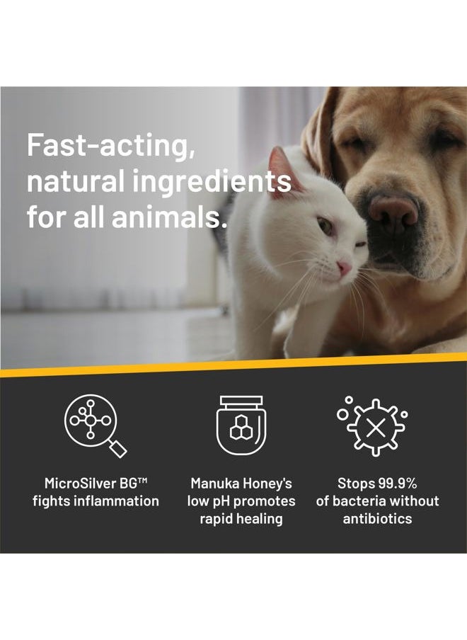 Absorbine - Silver Honey Hot Spot & Wound Care Ointment for Dogs, Cats, Small Animals, 2oz Tube - Image 1