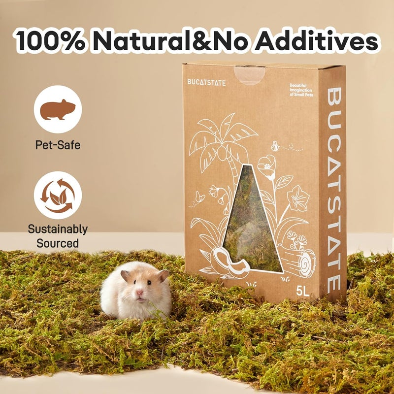 BUCATSTATE 5L Hamster Bedding, Natural Forest Moss Hamster Bedding Odor Control, Nature Hamsters Substrate Cage Accessories for Dwarf Syrian Hamsters, Mice, Gerbils (Dried Moss) - Image 4