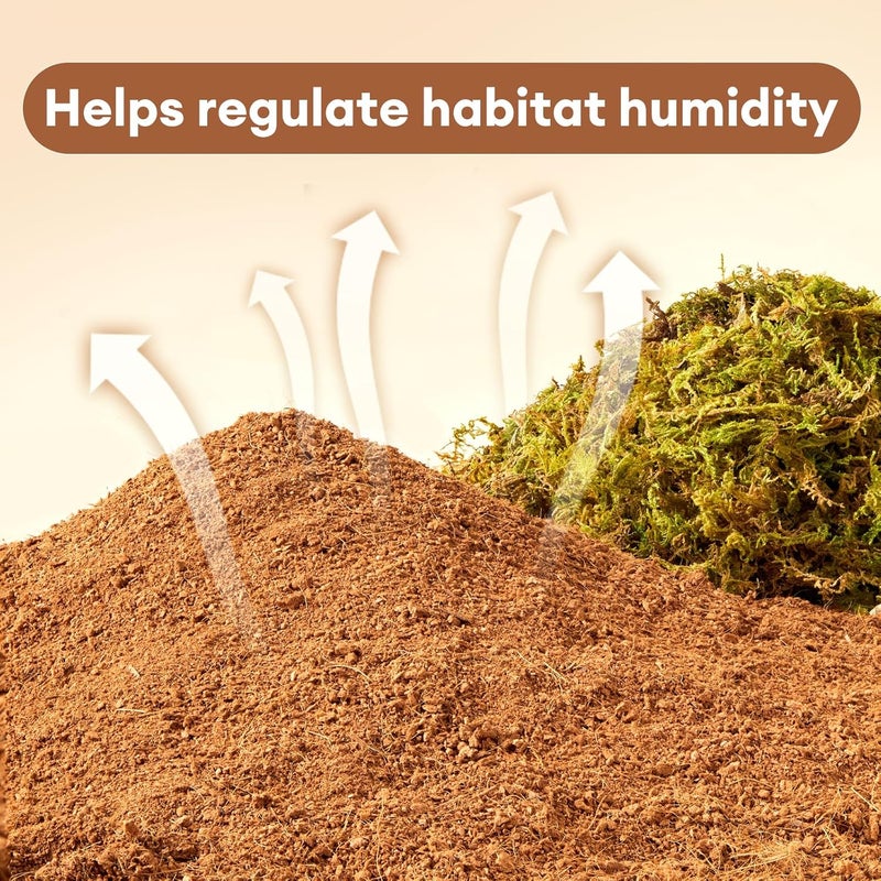 BUCATSTATE 5L Hamster Bedding, Natural Forest Moss Hamster Bedding Odor Control, Nature Hamsters Substrate Cage Accessories for Dwarf Syrian Hamsters, Mice, Gerbils (Dried Moss) - Image 2