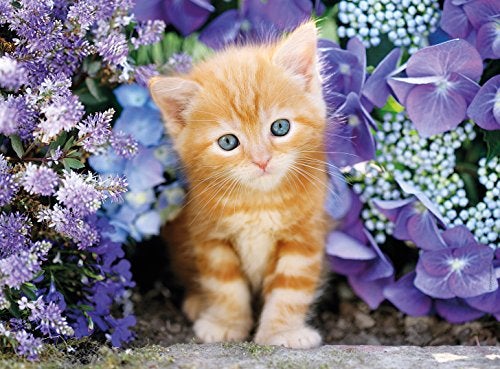 Clementoni Gattino Rosso Ginger Cat in Flowers 500 Piece Jigsaw Puzzle for Adults, Collection - Image 2