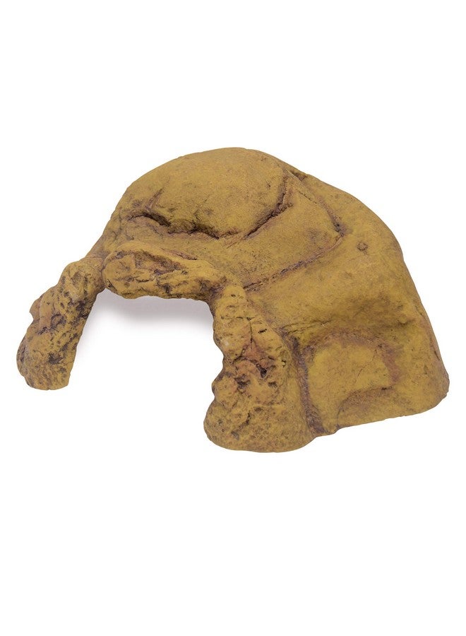 إكسو تيرا، حوض الزواحف XXL، بني - Image 1