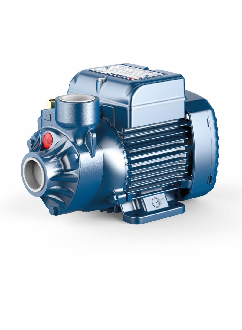 Pedrollo 0.5 HP Electric Water Pumps