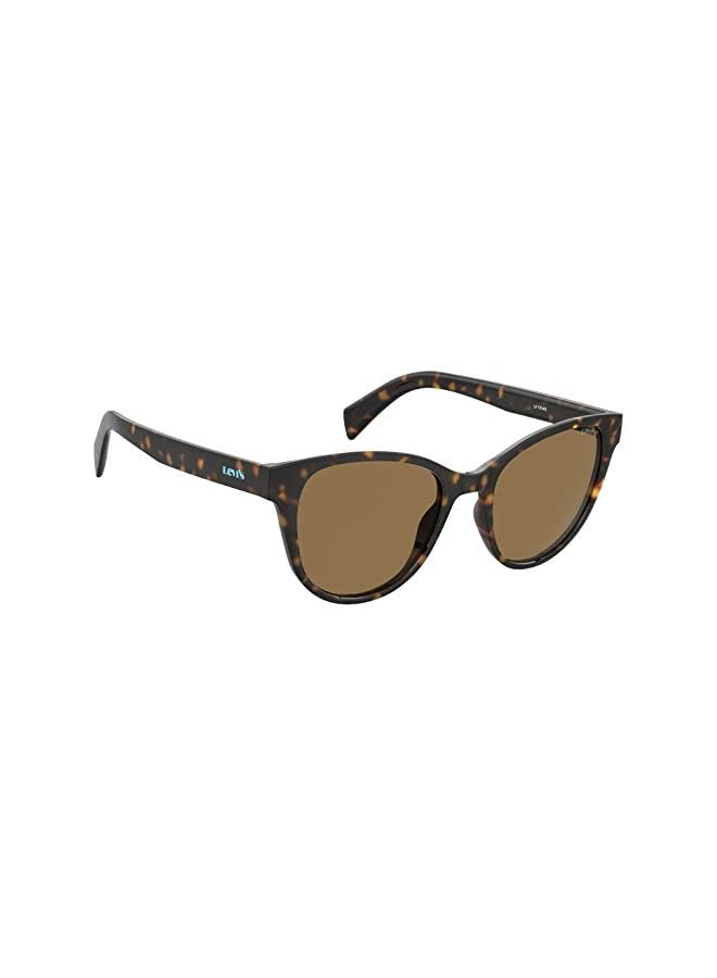 Levi's نظارات شمسية نسائية Lv 1014/S على شكل قطة - Image 2