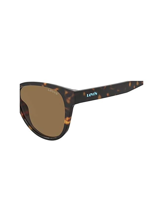 Levi's نظارات شمسية نسائية Lv 1014/S على شكل قطة - Image 5