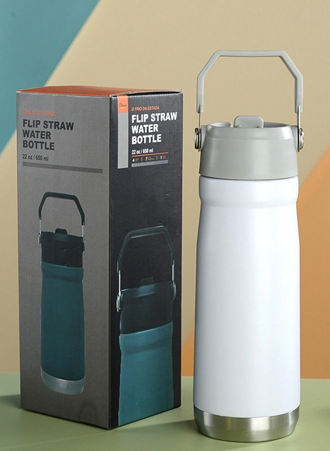 Taiahiro Stainless Steel Bottle with Straw, Vacuum Insulated Water Bottle for Home, Office or Car, Reusable Leakproof Cup with Straw and Handle - Image 5