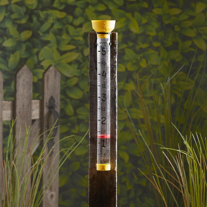 Taylor Jumbo JR Rain Gauge, Measure and Monitor Precipitation, Easy to Read for Backyard, Patio, Garden, and Lawn, 5-inch, Yellow - Image 4