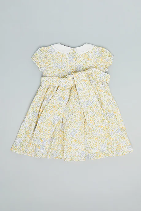 أر أند بي Printed Fit & Flare Dress with Peter Pan Collar and Puff Sleeves