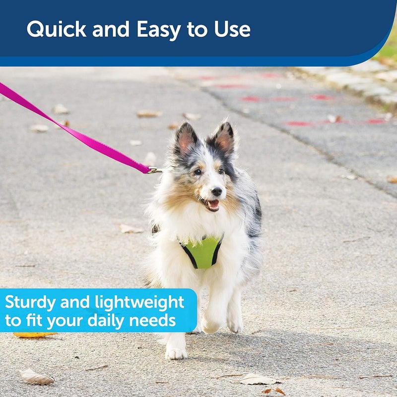 PetSafe Leash, 3/4" x 6', Medium, Raspberry Pink - Image 3