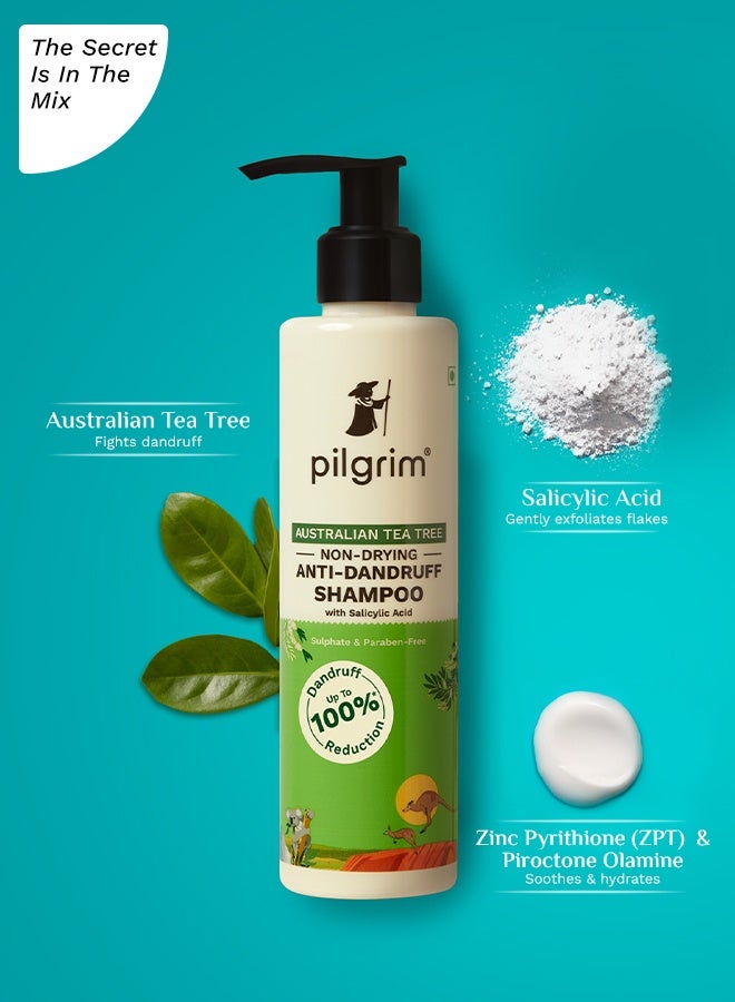 بيلجريم شامبو شجرة الشاي الأسترالية غير المجفف المضاد للقشرة 200 مل يزيل القشرة من المصدر ويساعد في علاج الحكة والتهيج وشعر ناعم وقوي للرجال والنساء - Image 3