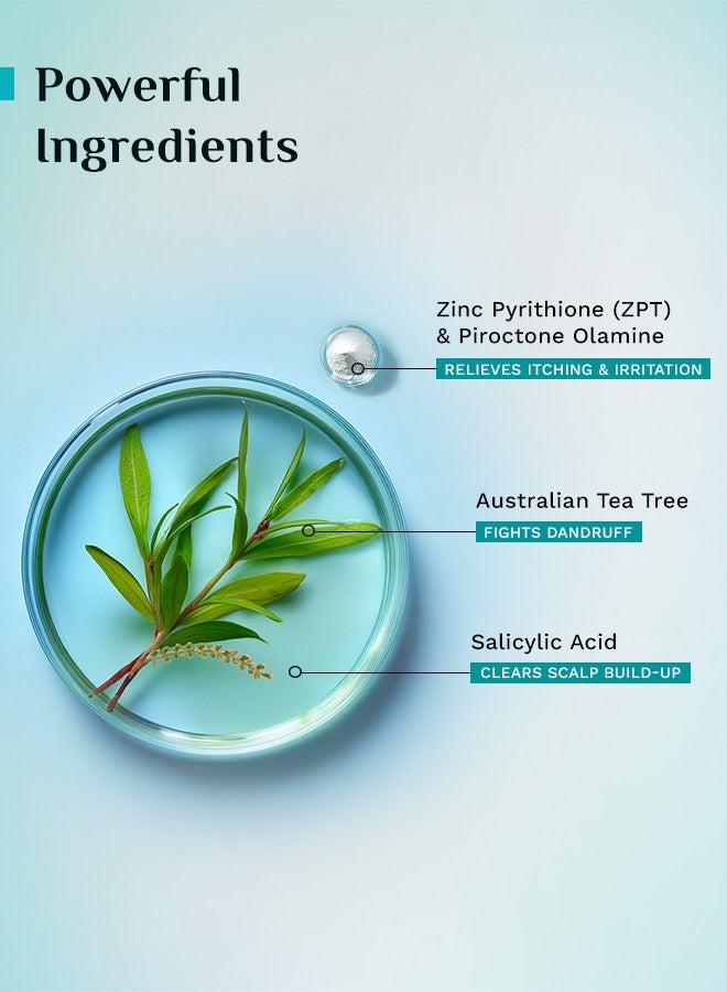 PILGRIM Australian Tea Tree Non Drying Anti Dandruff Shampoo 200 Ml Removes Dandruff From Source Helps With Itching Irritation Strong Smooth Hair For Men And Women - Image 5