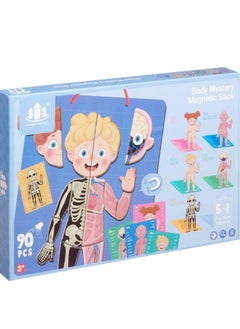 Other Body Structure Model Board Game for Children - Multi Color - Single Player - Age 6+