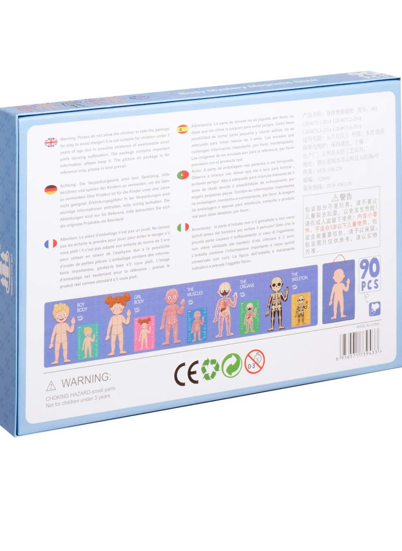 Generic - Other Body Structure Model Board Game for Children - Multi Color - Single Player - Age 6+ - Image 1