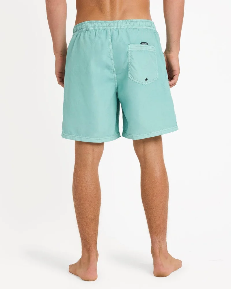 Everyday Surfwash 17" Swim Shorts - Men