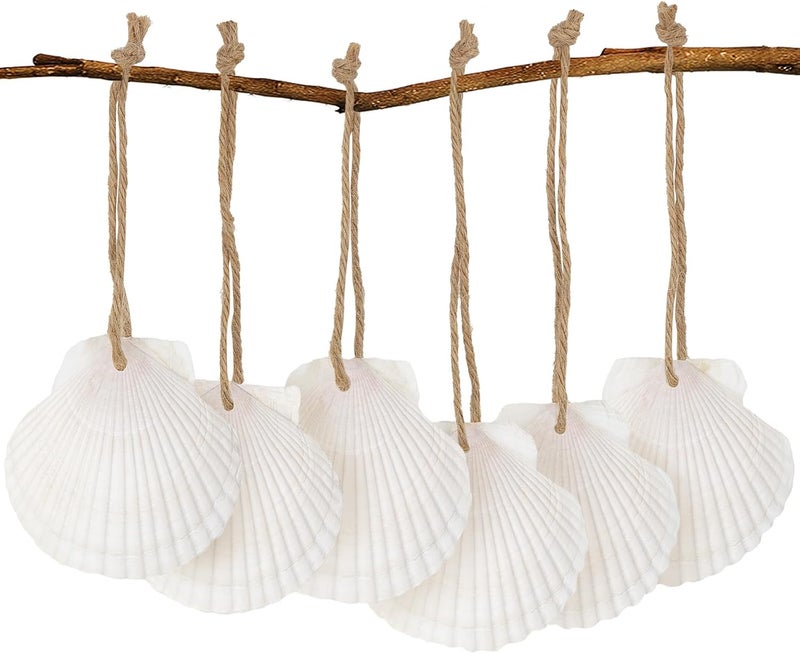 SINKOO أصداف بحرية بيضاء من نوع سكالوب مع ثقب، أصداف طبيعية للحرف اليدوية، تشكيلة أصداف بحرية كبيرة للزينة، مناسبة لصنع زينة معلقة يدوية لحفلات الشاطئ المنزلية (16 قطعة، 6-8 سم) - Image 1