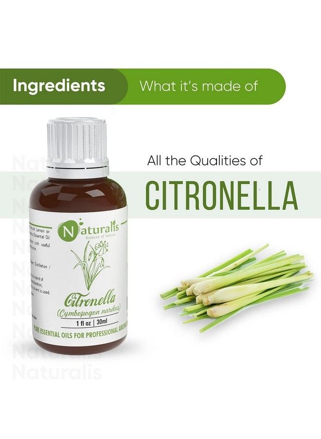 Naturalis Essence Of Nature Citronella Essential Oil 30Ml Pack Of 2  - Image 4