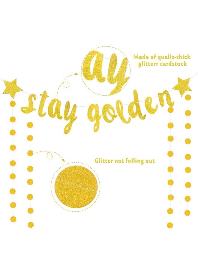 Boao 2 Pieces Stay Golden Banner Golden Birthday Party Decor Glitter Gold Lucky Birthday Banner Circle Dot Hanging Garland for Baby Shower Party Decoration Supplies - Image 3