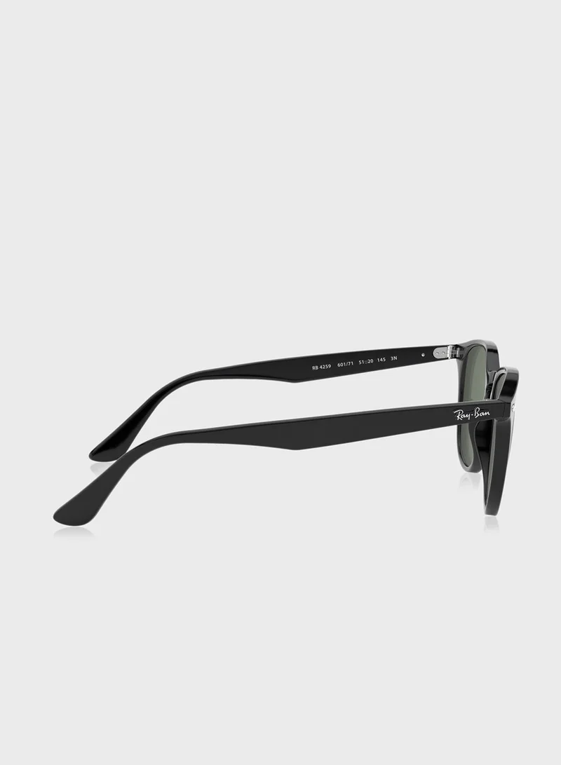 Ray-Ban Wayfarers Sunglasses