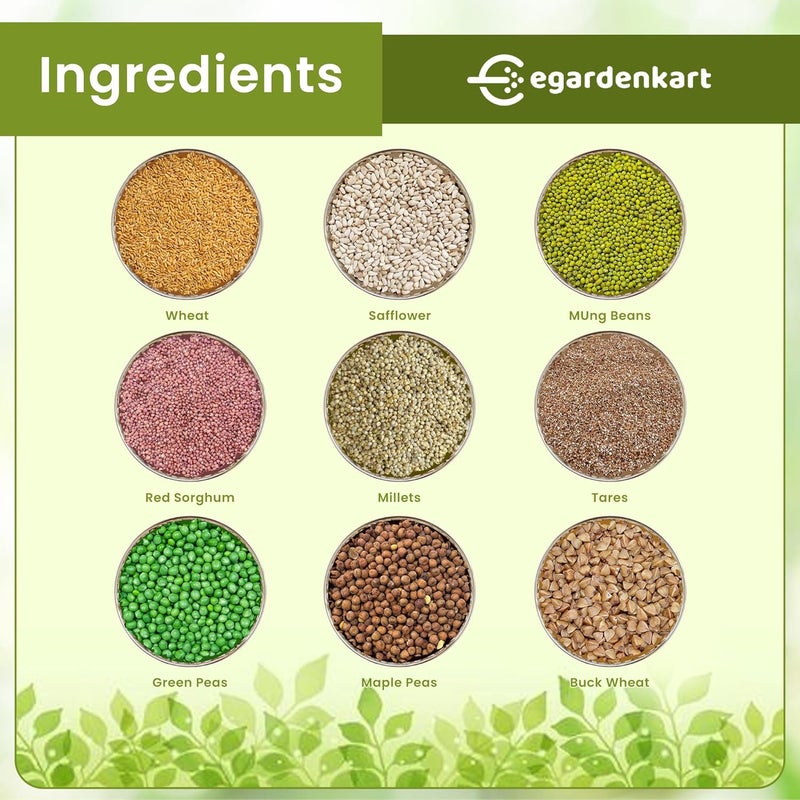 Egardenkart خلطة طعام الطيور من Egardenkart® للحمام - 8 كجم، طعام الحمام | طعام طيور متميز للحمام المنزلي | خلطة بذور طيور مغذية كاملة للحمام، الحمام البري والطيور الكبيرة (8 كجم، حمام) - Image 4
