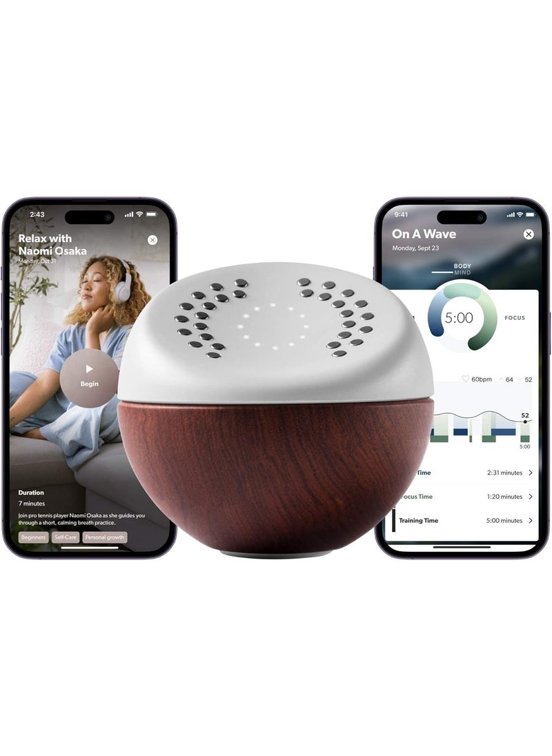Core Core Meditation Trainer: Meditation Device for Relaxation, Stress Relief, and Anxiety Relief with Built in Mental Health Wellness App (Premium) 