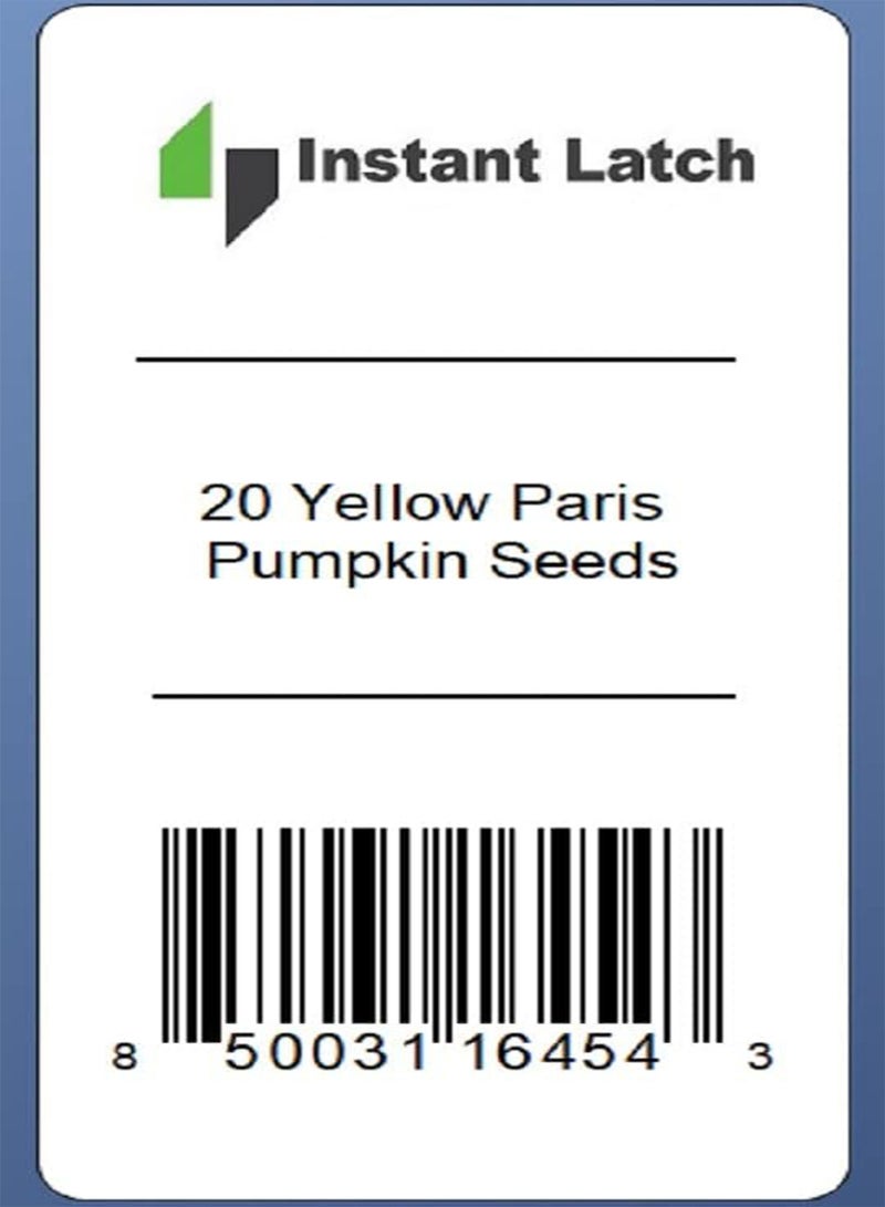 GGOOT 20 Yellow Paris Pumpkin Seeds NonGMO Heirloom Fresh Garden Seeds - Image 2