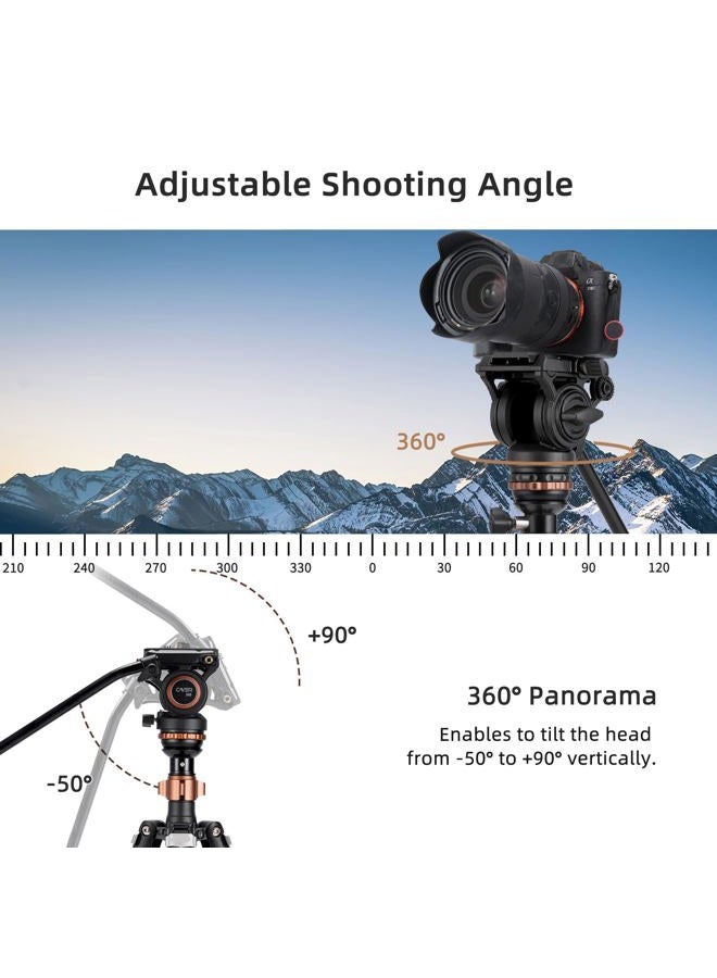 Cayer CF2451 67 Inch Carbon Fiber Video Tripod with Fluid Drag Head, Compact 4 Section DSLR Tripod Converts to Monopod for Canon Nikon Sony DSLR Camera - Image 2