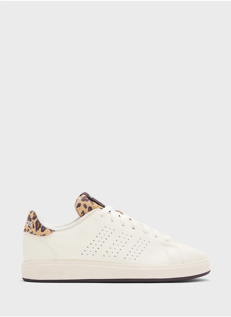 Adidas Advantage Base 2.0