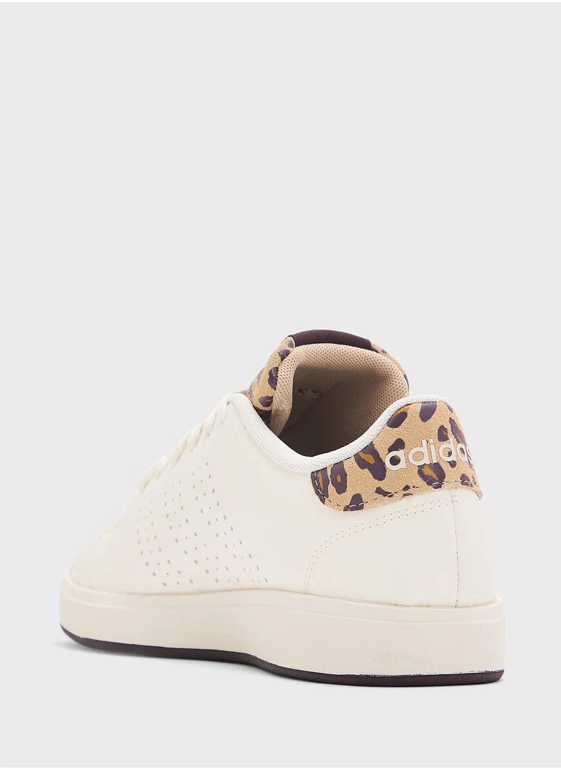 Adidas Advantage Base 2.0