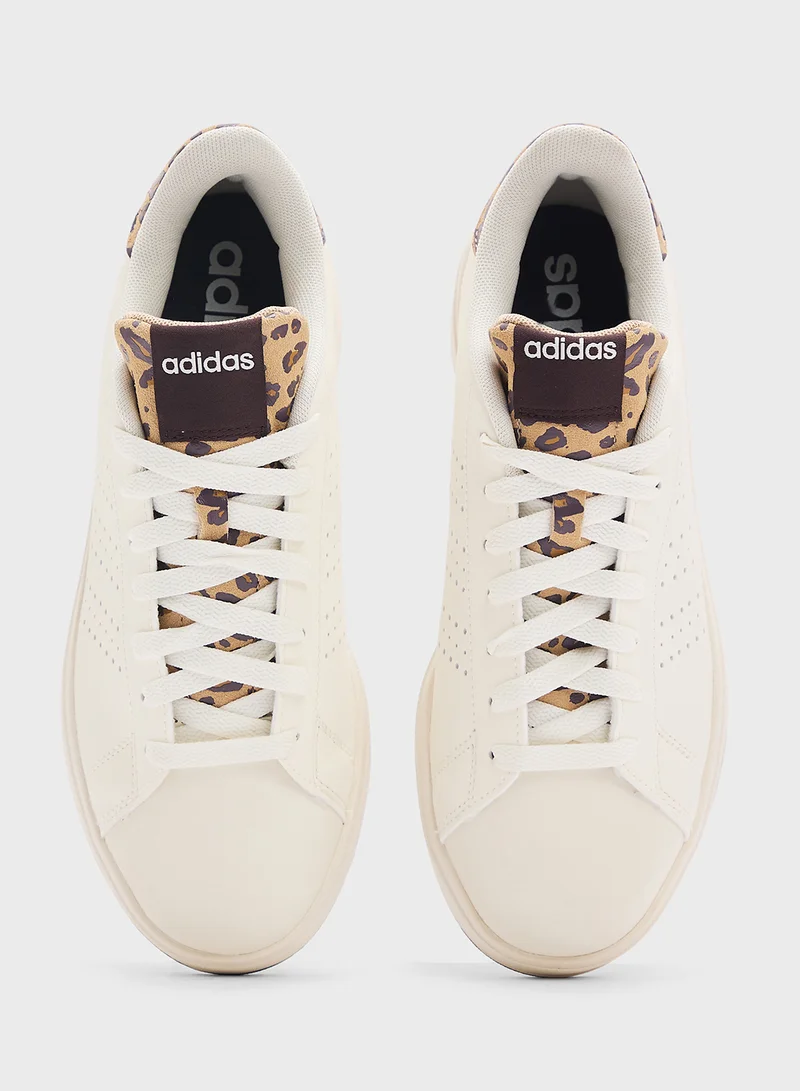 Adidas Advantage Base 2.0