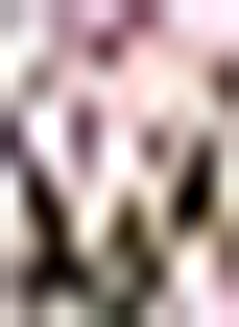 GGOOT 10pcs Mixed Color Tulip Seeds Perennial Variety Suitable for Decorating Home Garden Flower Bed Layout Window Sill Decoration Good Ecological Effect - Image 2