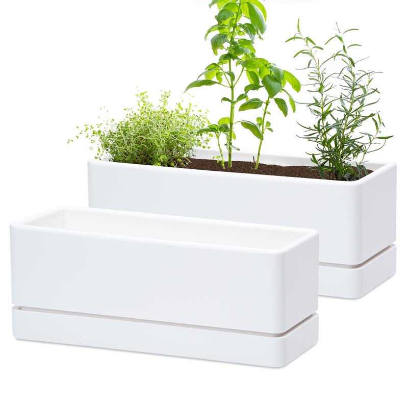 D'vine Dev 12 Inch Window Box Planter, Rectangle Plastic Herb Planter with Drainage Holes and Saucer, Indoor Succulent Cactus Vegetable Pot for Windowsill, Garden Balcony, White, Set of 2, 76-X-A-2 - Image 1