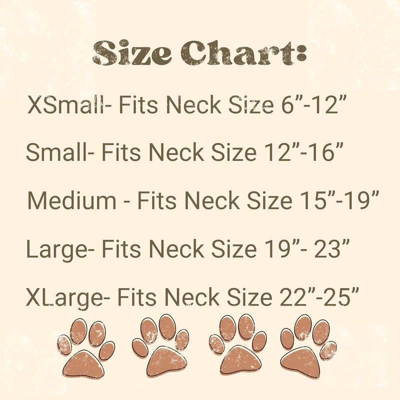 Dog Bandana Pregnancy Announcement Big Brother Baby Reveal Oatmeal Cream Minimal Neutral Color Announcement to Family Large - Image 5