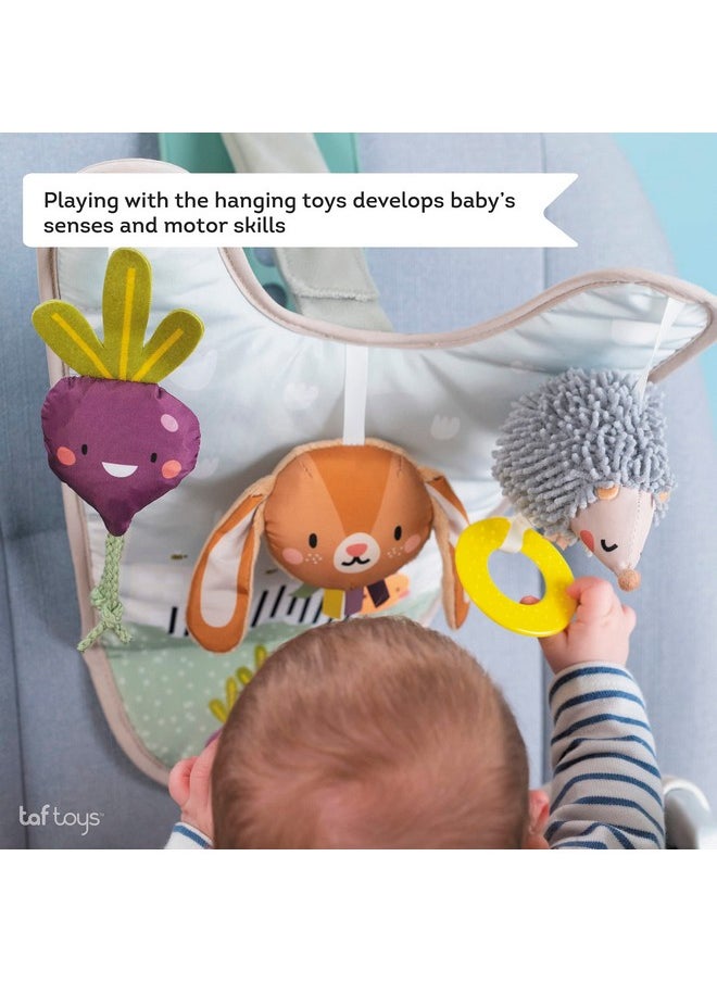 Taf Toys Taf Toys Infant Car Seat Development Center Newborn Baby Essentials Must Haves Toy, Car Seat Accessories Activity Center with Car Seat Mirror, for Newborn Toys 0 3 Months Brain Development  - Image 5
