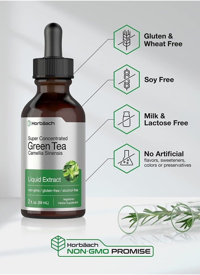 Horbäach Green Tea Extract | 2 fl oz | Super Concentrated Liquid Supplement | Alcohol Free, Vegetarian, Non-GMO, Gluten Free | by Horbaach  - Image 4