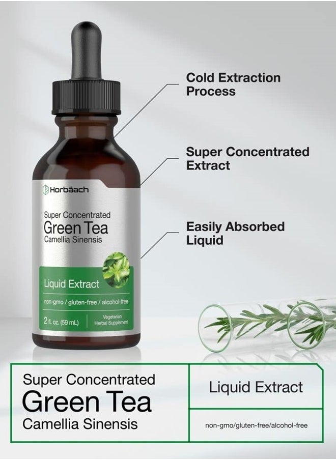 Horbäach Green Tea Extract | 2 fl oz | Super Concentrated Liquid Supplement | Alcohol Free, Vegetarian, Non-GMO, Gluten Free | by Horbaach  - Image 3