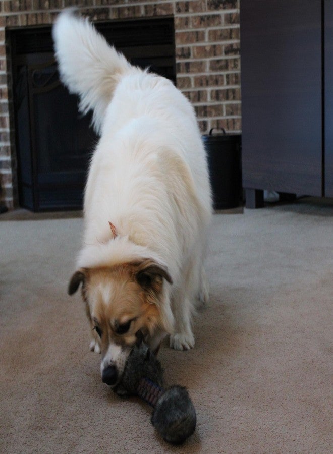 SPOT Furzz Braided Nylon & Plush Dog Toy 13" Assorted Figures - Image 4