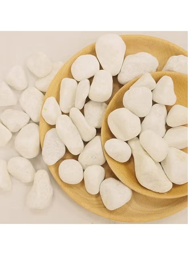 UNITED ARAB EMIRATES Snow White 3-5 cm Decorative Pebbles Natural Decorative Rocks for Garden Plants Succulents Vase Aquariums Landscape River Stones Outdoor | 20 kgs. - Image 2