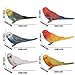 JOKFEICE Birds Figures 6pcs Realistic ParrotToys Animal Figures Set Simulated Plastic Animal Models Toys Kids Educational Toys for Boys and Girls - Image 4