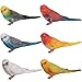 JOKFEICE Birds Figures 6pcs Realistic ParrotToys Animal Figures Set Simulated Plastic Animal Models Toys Kids Educational Toys for Boys and Girls - Image 2