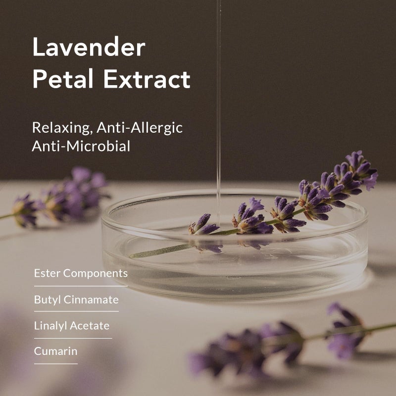 Kustie Lavender Petal Body Wash â€“ Real Visible Provence Petals with Tea Tree Oil | Oil-Control & Pore-Clearing Cleanser for Balanced Skin | Free From Paraben, Sulfate & Phthalate | 12.8 Fl Oz - Image 3
