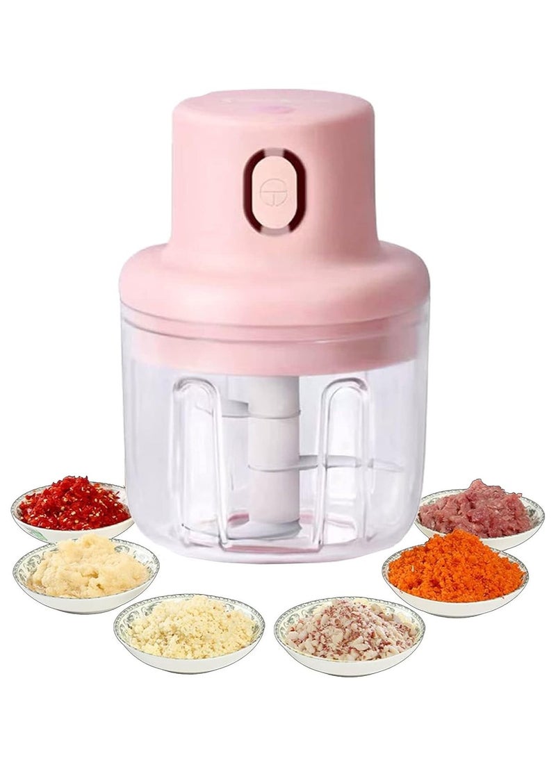 DubaiGallery Garlic Chopper, Mini Food Processor, Garlic Press Mincer, Garlic Masher with Sharp Blade Waterproof Vegetable Chopper for Garlic, Fruits, Onion, Vegetables, Meat, Pepper, Ginger - Image 1