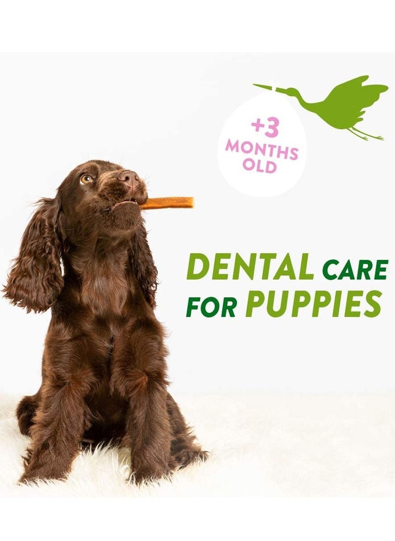 WHIMZEES - Dental Health XS/S 14Pc Stix Puppy Treats 105g - Image 1