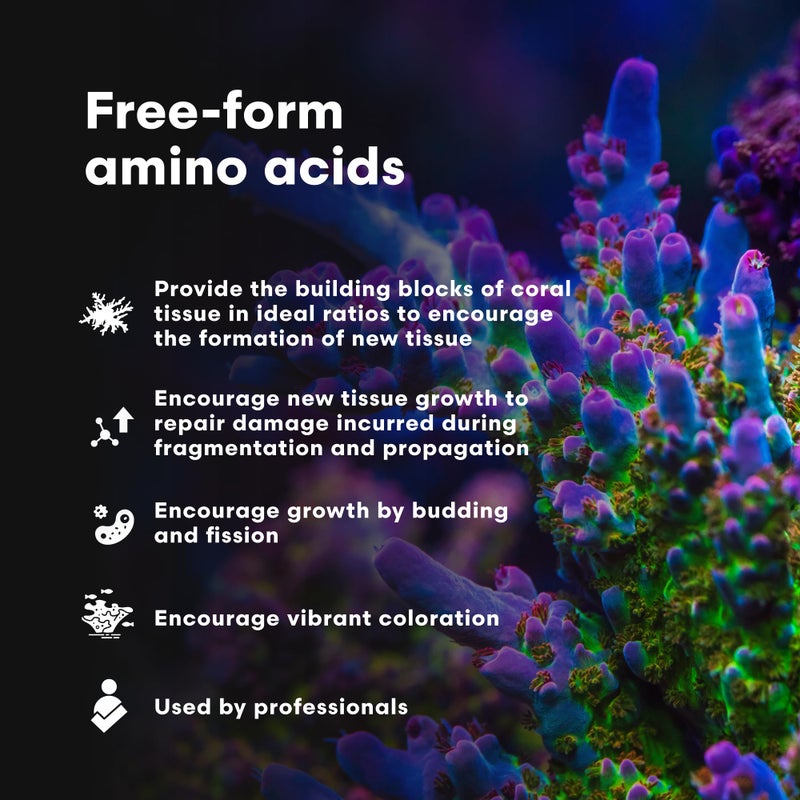 Brightwell Aquatics CoralAmino - Complex of Amino Acids for Corals - Coral Food for Aquarium Coral Growth - Saltwater Aquarium Treatments, 8.45 fl oz - Image 4