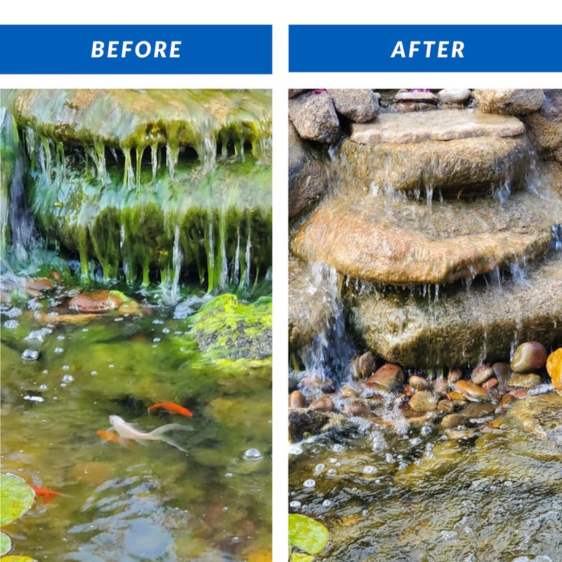 Crystal Clear CrystalClear Algae D-Solv Pond Algae Control, Fast-Acting EPA Registered Algaecide, Use in Fountains & Outdoor Ponds Containing Koi & Other Fish, Treats 46,080 Gallons, 1 Gallon - Image 2
